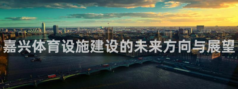 意昂体育4是干嘛的公司