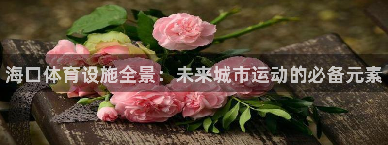 意昂体育4招商：海口体育设施全景：未来城市运动的必备