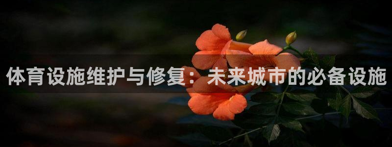 意昂4集团简介：体育设施维护与修复：未来城市的必备设
