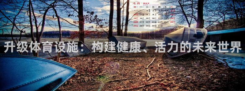 意昂体育4平台APP：升级体育设施：构建健康、活力的