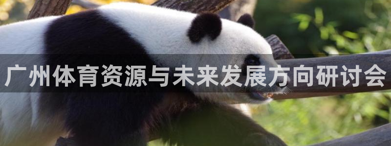 意昂体育4平台APP：广州体育资源与未来发展方向研讨