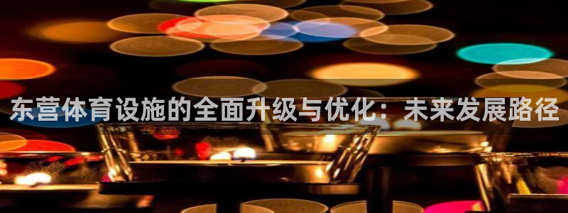 意昂4五金厂：东营体育设施的全面升级与优化：未来发展