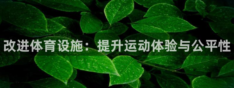 意昂4科技：改进体育设施：提升运动体验与公平性