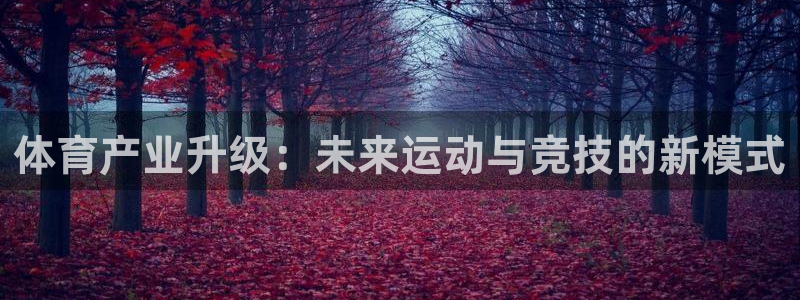 意昂体育4平台注册流程视频：体育产业升级：未来运动与