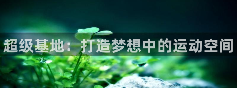 意昂体育4平台APP