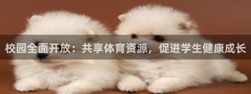 意昂4集团logo：校园全面开放：共享体育资源，促进