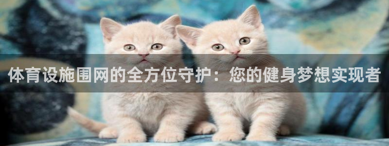 意昂4集团：体育设施围网的全方位守护：您的健身梦想实