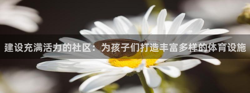 意昂体育4是干嘛的公司：建设充满活力的社区：为孩子们打造丰富
