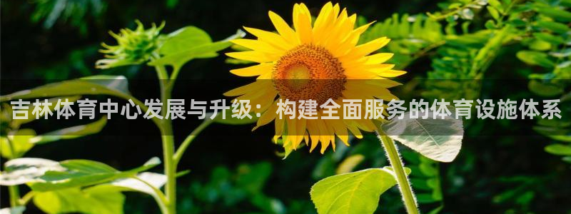 意昂体育4平台是正规平台吗：吉林体育中心发展与升级：