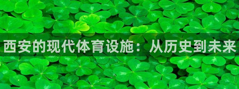 意昂体育4：西安的现代体育设施：从历史到未来