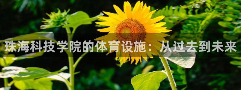 意昂4娱乐是那个系列的台子：珠海科技学院的体育设施：从过去到 