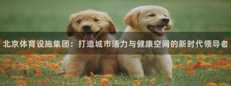 意昂4集团logo
