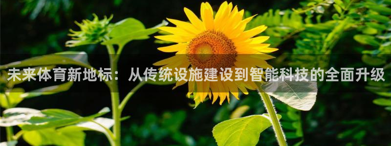 意昂体育4招商电话号码查询