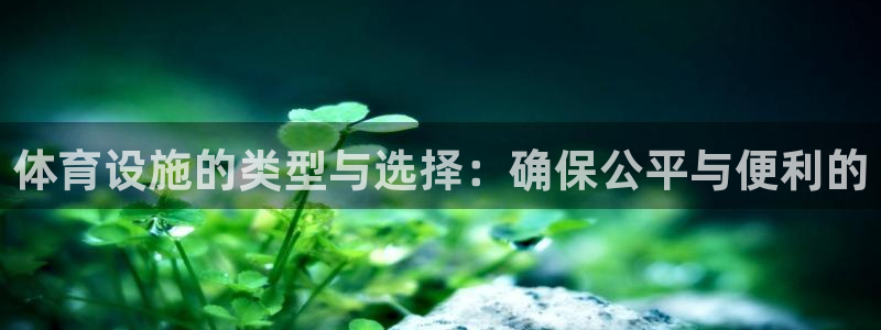 海南意昂体育4发展怎么样