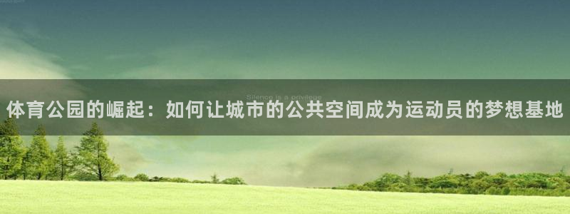 意昂体育4招商电话号码查询：体育公园的崛起：如何让城