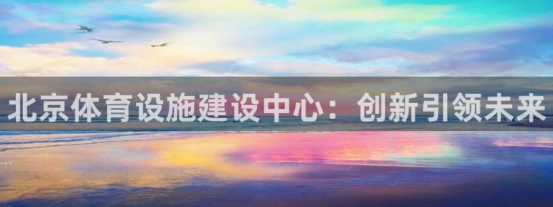 意昂4新能源：北京体育设施建设中心：创新引领未来