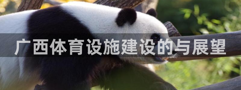 意昂体育4娱乐：广西体育设施建设的与展望