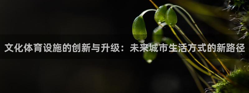 意昂4娱乐首页网站大全：文化体育设施的创新与升级：未