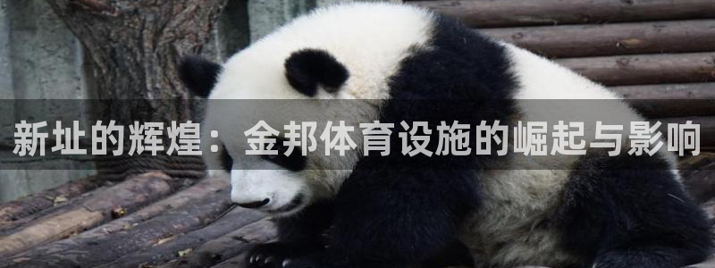意昂4集团：新址的辉煌：金邦体育设施的崛起与影响