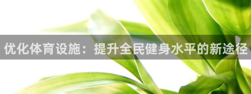 德国意昂4集团：优化体育设施：提升全民健身水平的新途