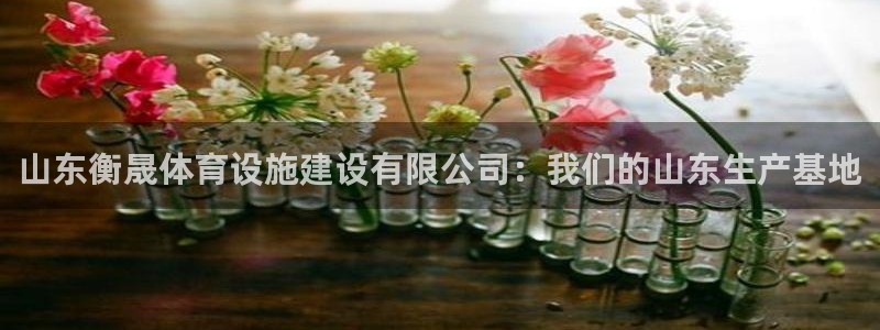 意昂4新能源：山东衡晟体育设施建设有限公司：我们的山