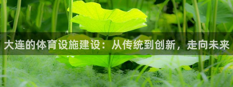 意昂体育4平台注册要钱吗是真的吗：大连的体育设施建设：从传统