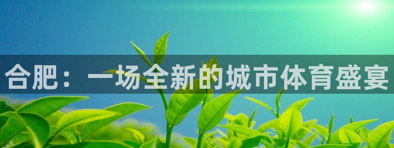 意昂体育4联系电话：合肥：一场全新的城市体育盛宴
