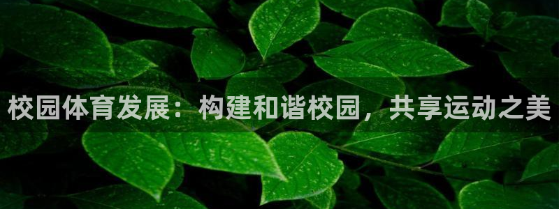 意昂体育4平台假的吗是真的吗：校园体育发展：构建和谐