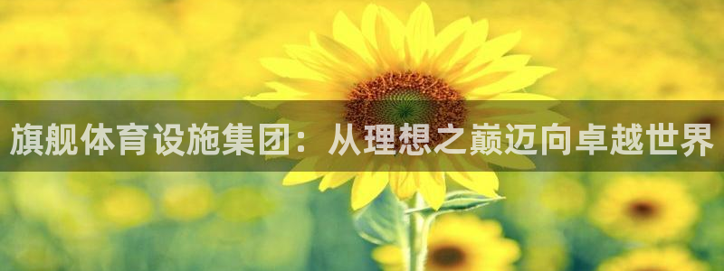 意昂体育4招商电话是多少号码：旗舰体育设施集团：从理想之巅迈