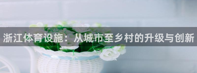 意昂体育4软件：浙江体育设施：从城市至乡村的升级与创新