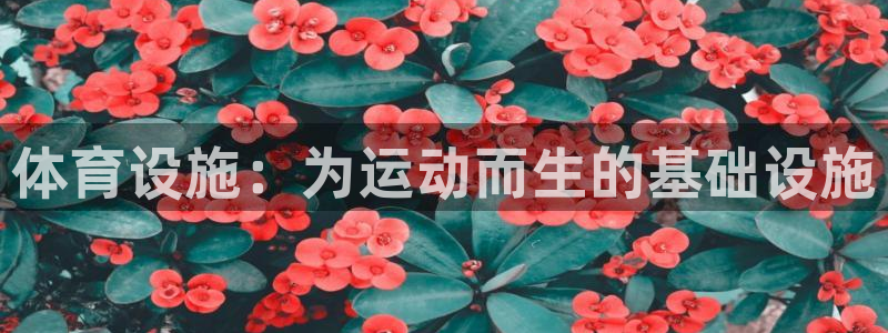 意昂4集团logo：体育设施：为运动而生的基础设施