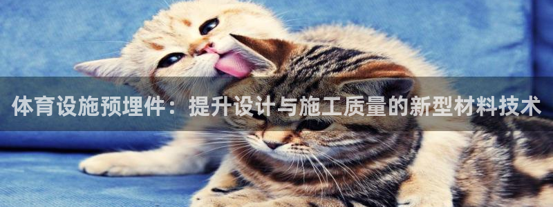 意昂4娱乐40996：体育设施预埋件：提升设计与施工