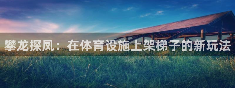 意昂体育4平台假的吗是真的吗：攀龙探凤：在体育设施上