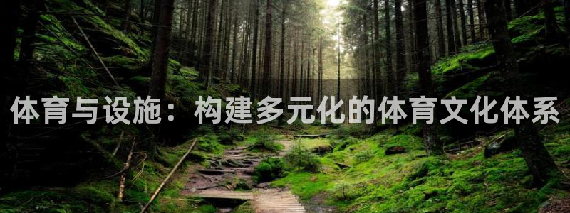 意昂4娱乐首页网站大全：体育与设施：构建多元化的体育