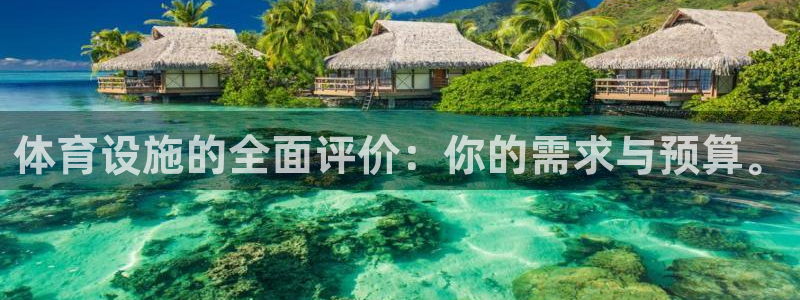 意昂集团官网：体育设施的全面评价：你的需求与预算。