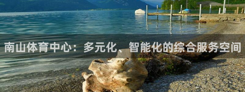意昂4娱乐是那个系列的台子：南山体育中心：多元化、智