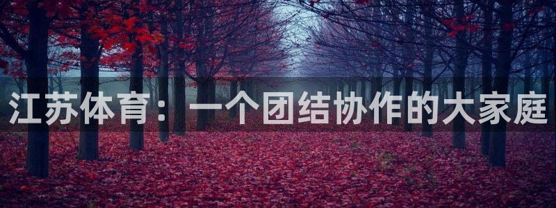 意昂4代理：江苏体育：一个团结协作的大家庭