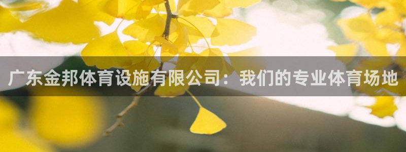意昂4五金厂：广东金邦体育设施有限公司：我们的专业体