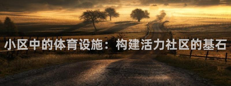 意昂4娱乐40996：小区中的体育设施：构建活力社区