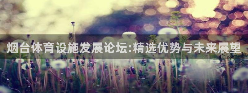 意昂体育4平台：烟台体育设施发展论坛:精选优势与未来