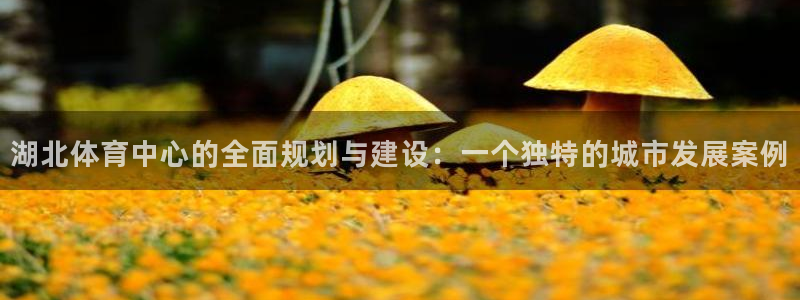 意昂体育4娱乐：湖北体育中心的全面规划与建设：一个独