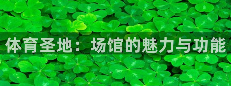 意昂体育4平台：体育圣地：场馆的魅力与功能