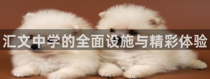 意昂体育4招商电话号码查询是多少：汇文中学的全面设施